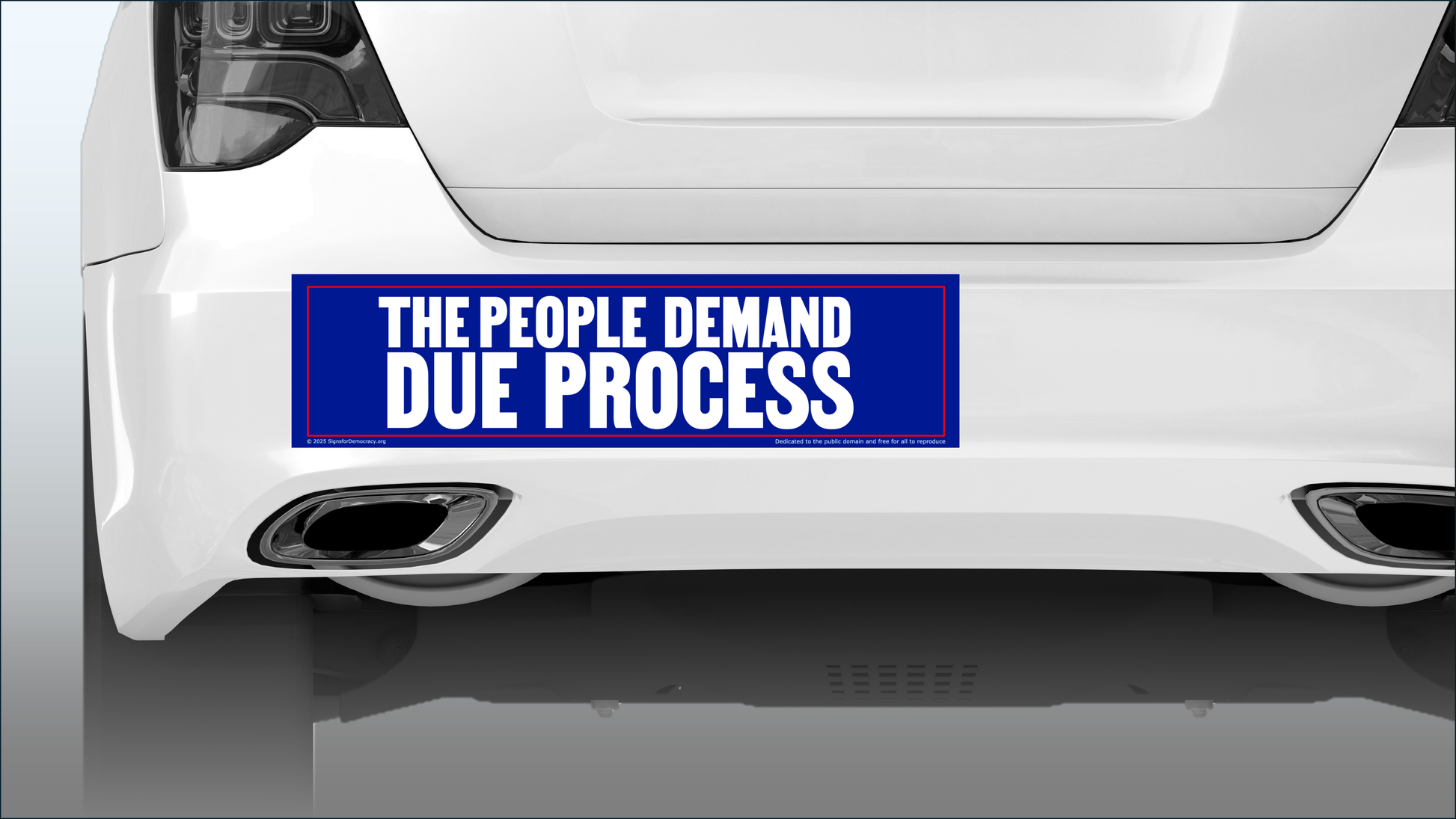 Bumper sticker - The people demand due process