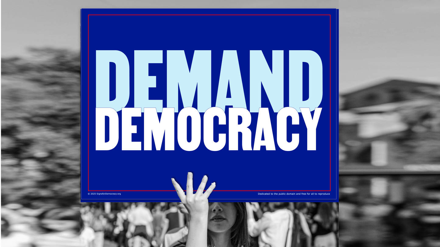 Protest sign - Demand democracy