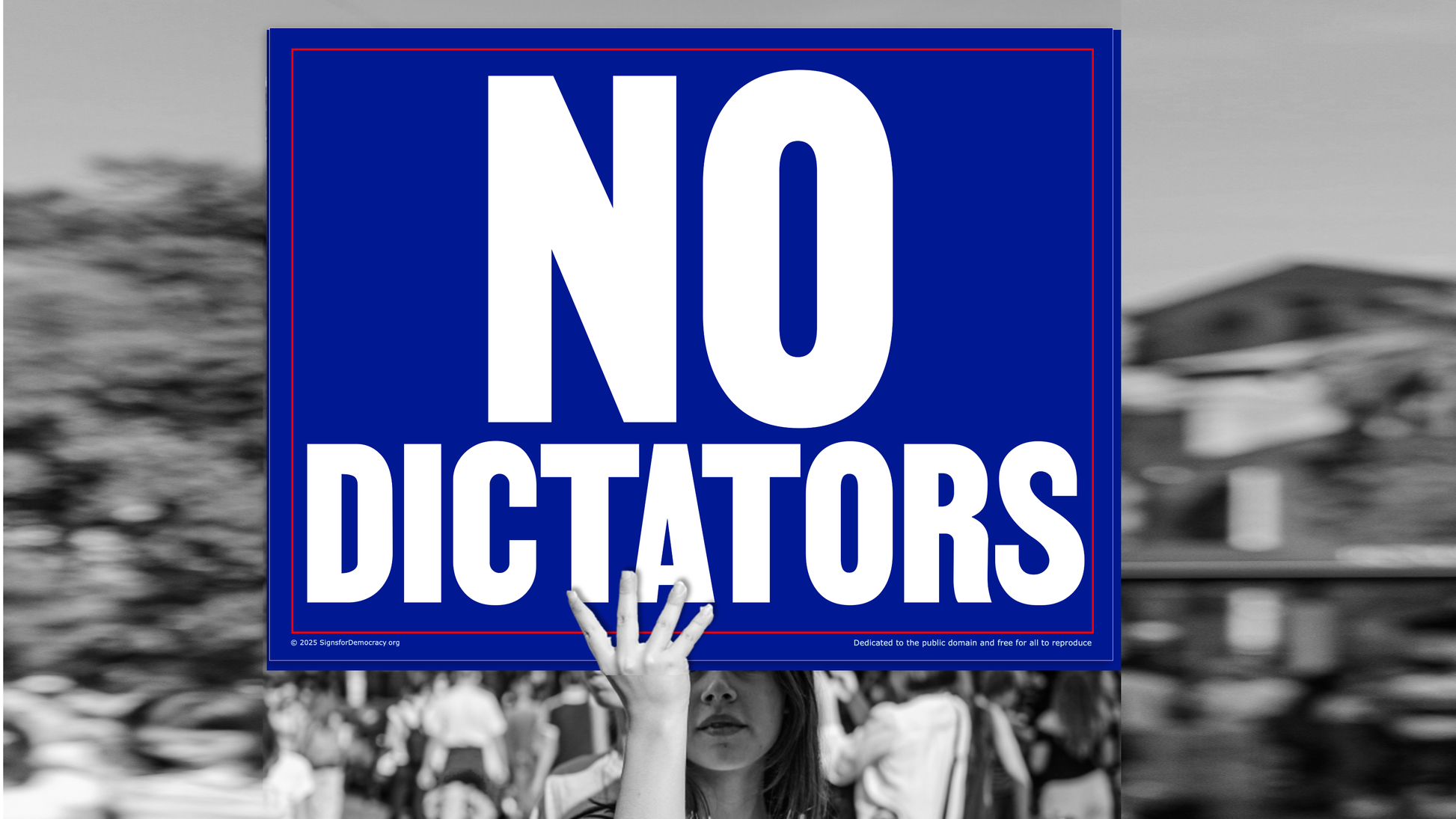 Protest sign - No Dictators