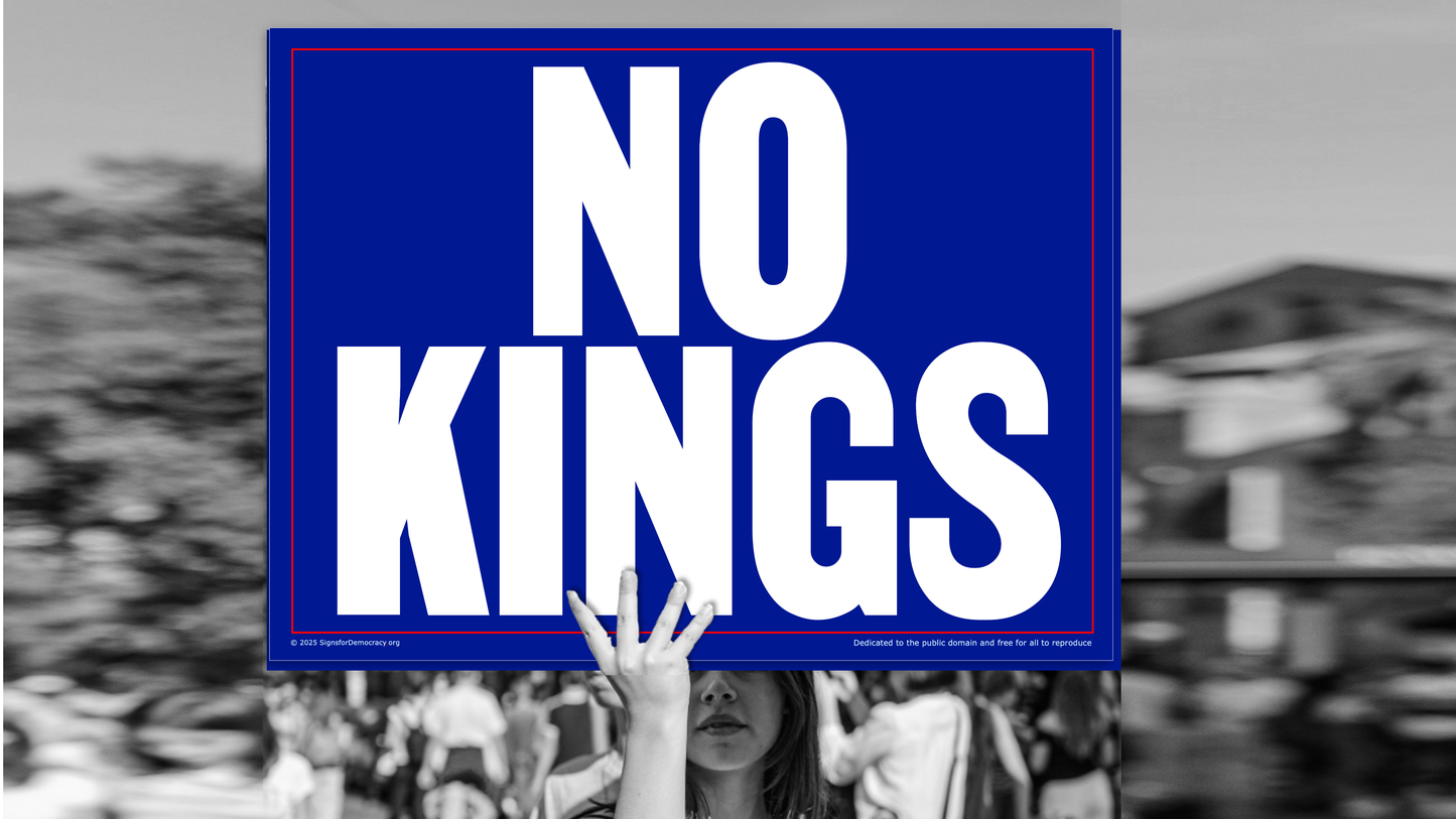 Protest sign - No Kings