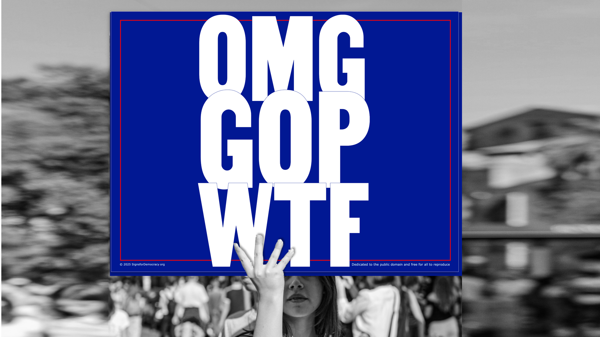 Protest sign - OMG GOP WTF