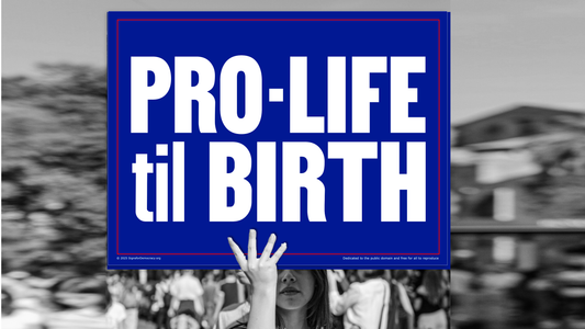 Protest sign - Pro-Life til Birth