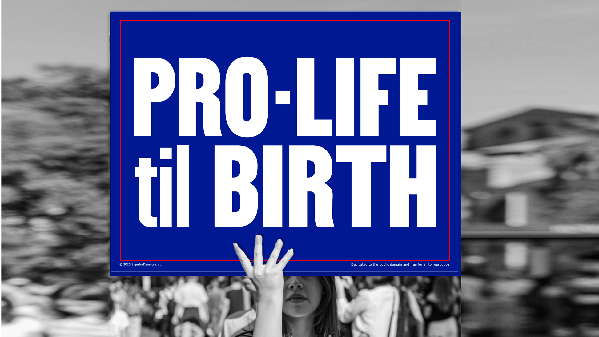 Protest sign - Pro-Life til Birth