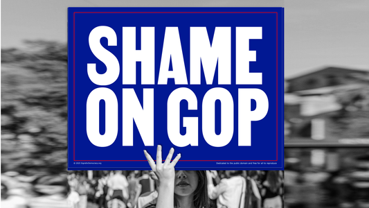 Protest sign - Shame on GOP