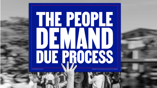 Protest sign - The people demand due process