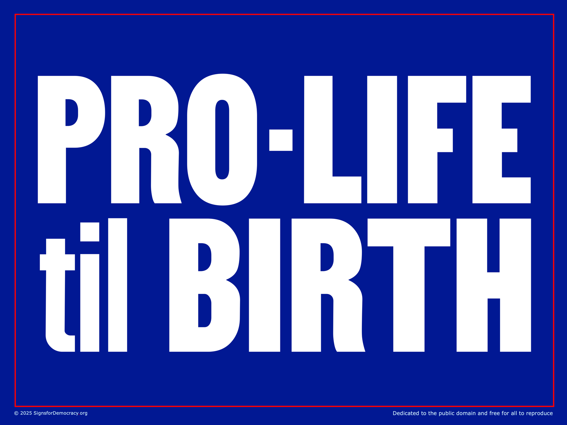 Protest sign - Pro-Life til Birth