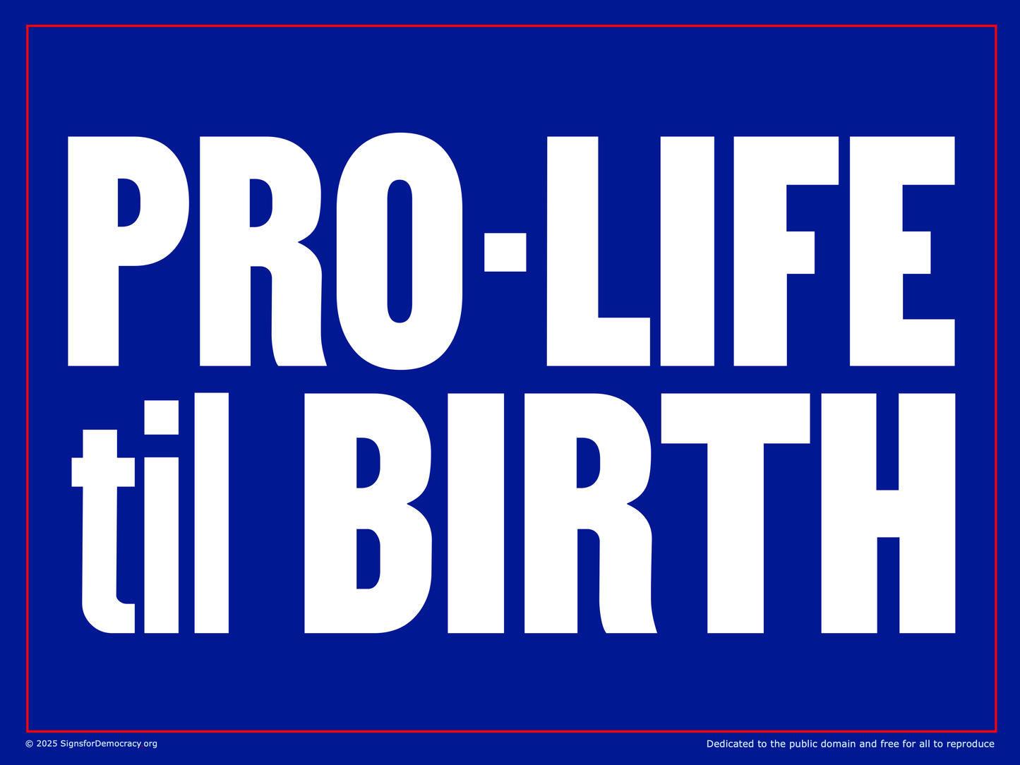 Yard sign - Pro-Life til Birth